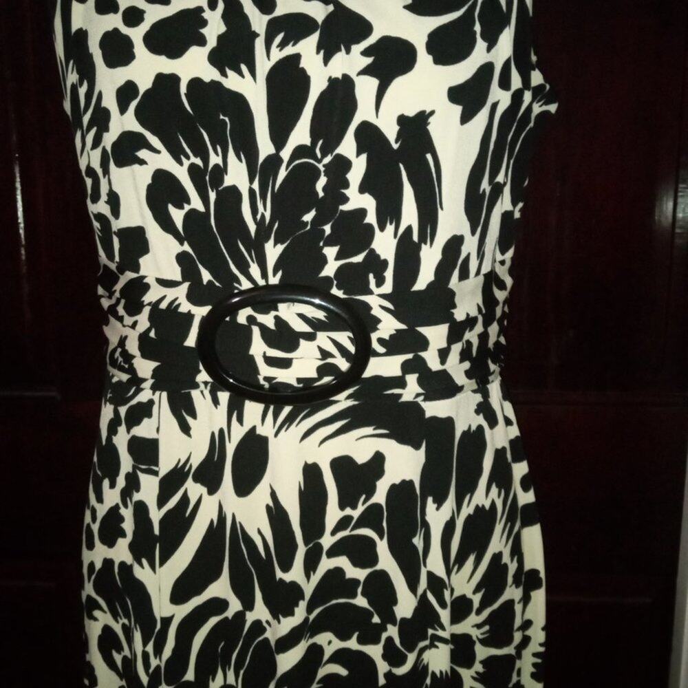 DressBarn Black Cream Dress Size 10 Knee Length Stretch